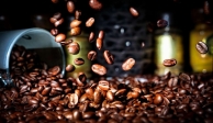2024 coffee exports expected to hit $5bln