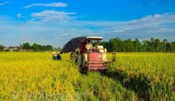 Agricultural sector posts record growth for last decade