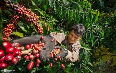 EU deal benefits Vietnamese exports