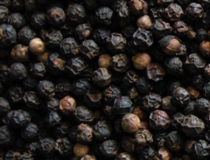 Black pepper