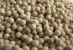 White pepper